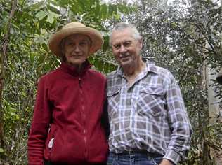 GREEN THUMBS: Ann and Nick Reeve have worked tirelessly on the regeneration of Elizabeth Island. Picture: Kathryn Lewis