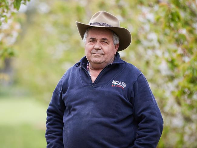 Guy Gaeta, orchardist near Orange NSW.  Guy is a Cherry and Apple grower for story about how seasonal workers will be let in to Australia without quarantine from end of Nov early Dec. He says fruit growers badly need backpackers as well. Picture: Graham Schumann