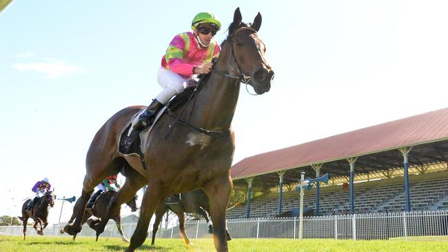 Tara Jasmine is out to maintain her unbeaten record at Grafton in Wednesday’s Jacaranda Cup.