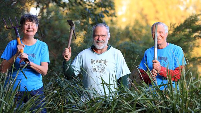 Sue Bishop, Peter Munro and John Butcher are part of the MudCrabs Team which looks after public park along the Cook River in Sydney for Do Something Day. Picture: Christian Gilles #dosomethingday