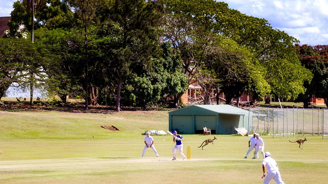 Wolston Park Centenary Cricket Club beat Queensland Police Service ...