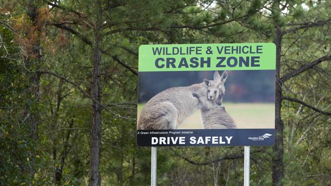 Wildlife signage on Oakey Flat Road, Burpengary. Picture: Renae Droop