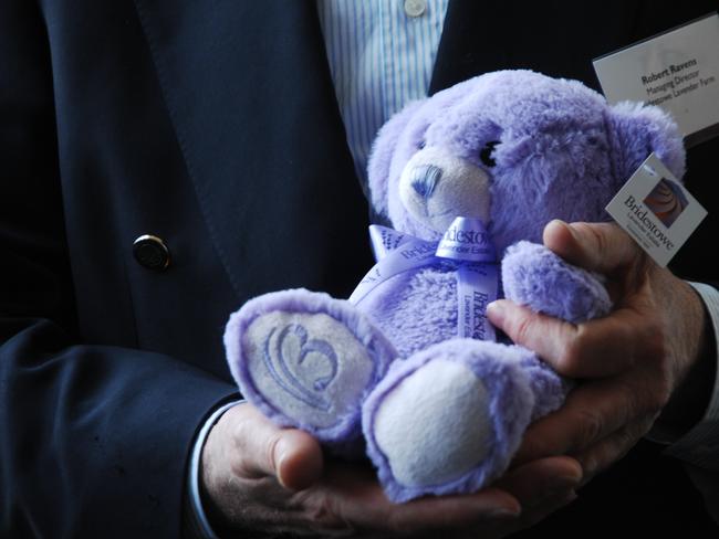 A man holds Bobbie the bear, hand-stuffed with lavender at Tasmania?s Bridestow Lavender Estate, Tuesday, Nov. 26, 2013. The estate has been flooded with 45,000 orders since Chinese celebrity Zhang Xinyu posted pictures with Bobbie on Facebook. (AAP Image/David Beniuk)