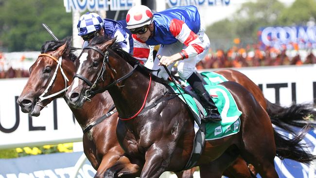 Single Bullet is ready to fire after two good trials ahead of his return on Saturday.