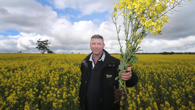 Brett Hosking will challenge for the VFF presidency. Picture: Yuri Kouzmin