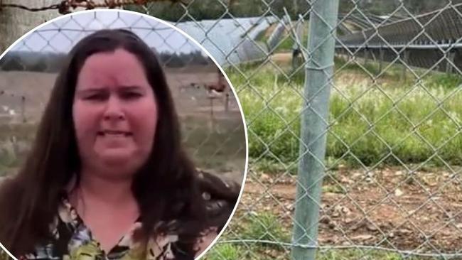 ‘Prison fence on our patch of paradise’: Family’s solar farm fight