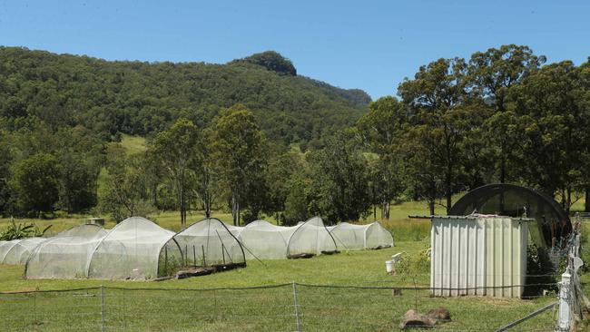 What you didn’t know about Coast’s only prison | Gold Coast Bulletin