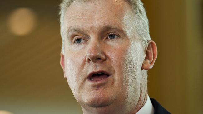 Federal Arts Minister Tony Burke. Picture: NCA NewsWire / Martin Ollman