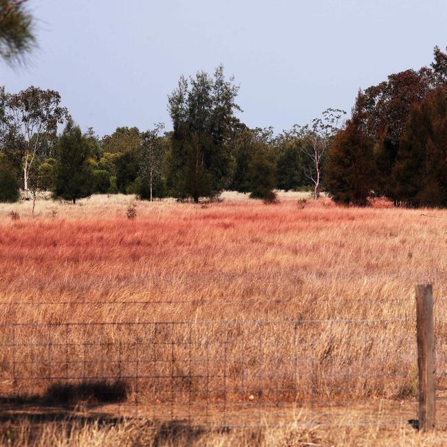 Pink aerial fire retardant dropped outside Tara. Picture: Liam Kidston