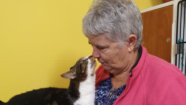 Albury-Wodonga Animal Rescue cat co-ordinator Rae Smith.