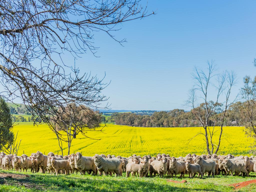 The unique home sits on 24 hectares. Photo: Chloe Smith.