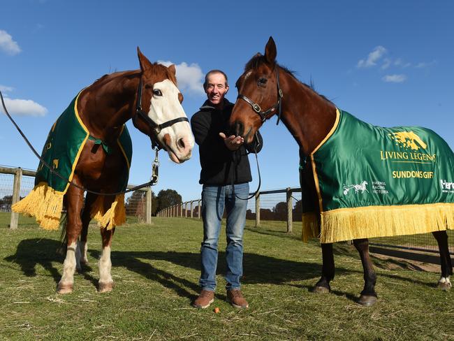 Sundons Gift and Apache Cat at Living Legends. Picture: Supplied