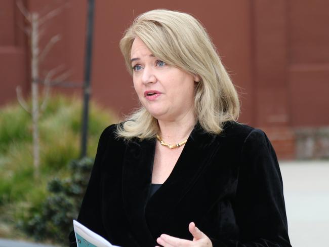 Minister for Science and Technology Madeleine Ogilvie speaks to the media outside the Executive Building in Hobart on Tuesday, May 2, 2023.