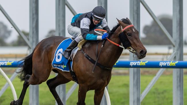 Lingani wins at Morphettville Parks on Saturday. Picture: Makoto Kaneko