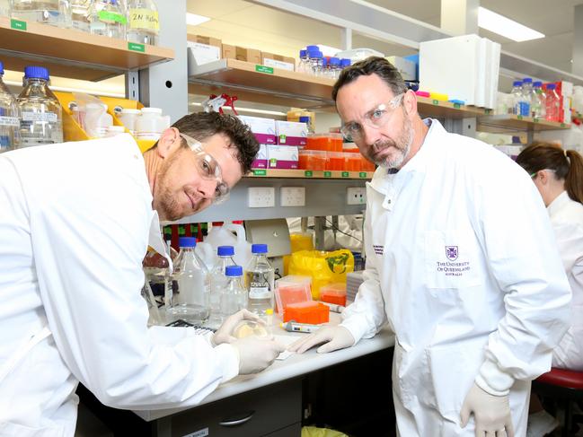 Queensland scientists Dr Keith Chappell and Dr Trent Munro in their laboratory. Picture: Steve Pohlner