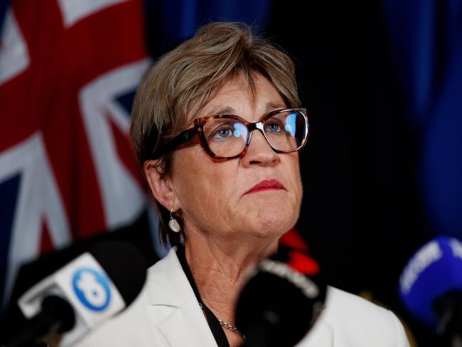 Helen Dalton, NSW Member for Murray says Transgrid’s latest plan must be “opposed at all costs”. Picture: NCA NewsWire / Nikki Short