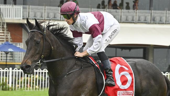 Eagle Nest, ridden by Tom Sherry, at Rosehill Gardens in November. Picture: Bradley Photos