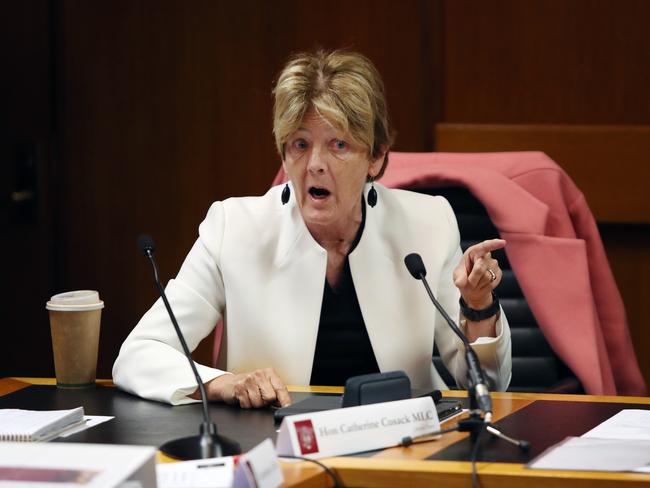 Catherine Cusack has been removed as a parliamentary secretary. Picture: Richard Dobson