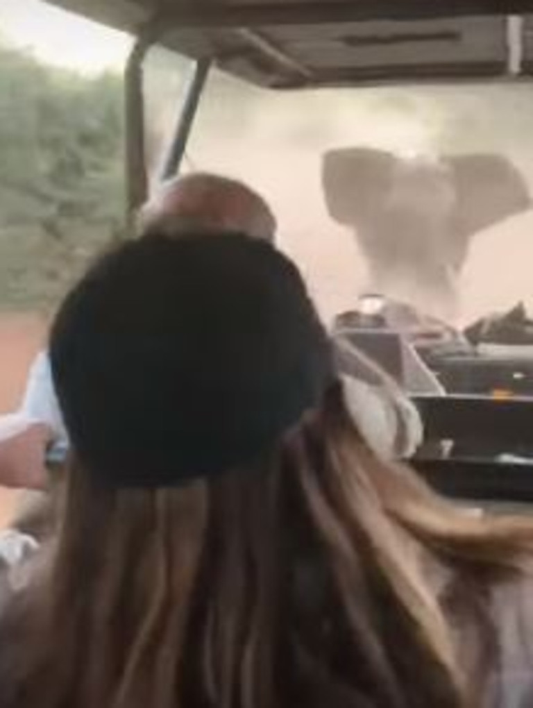 The elephant could be heard making trumpeting sounds while it ran towards the car.