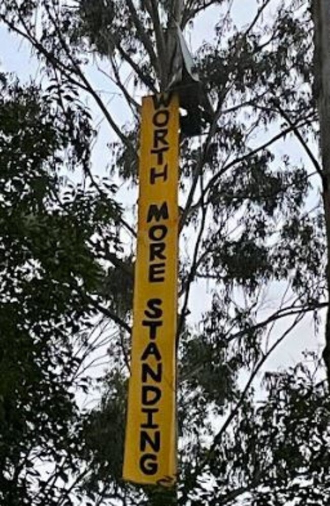 A protest sign hangs below a makeshift camp set 30 metres above the ground in the Orara East state forest near Coffs Harbour. Picture: Supplied