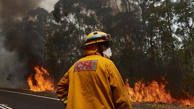 Firefighters will be backburning near Bells Line of Road before temperatures soar later this week. Picture: Brett Hemmings/Getty Images