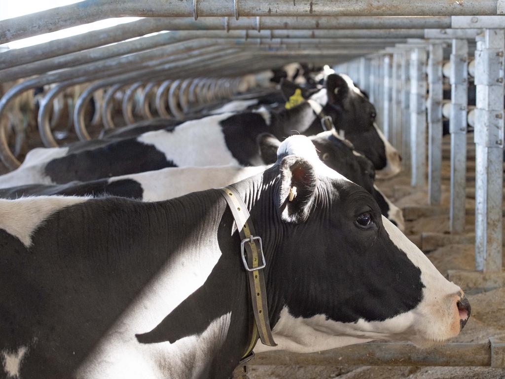 Farmer of the Year 2023: Dairy farmers Mark and Kate Walpole | The ...