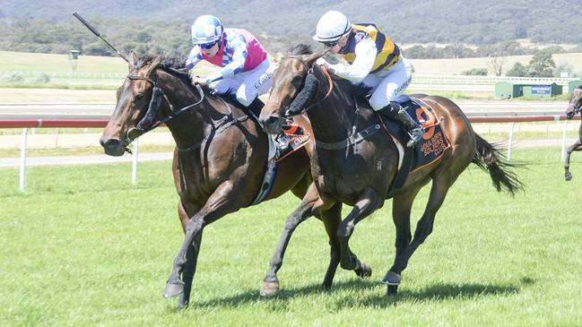 Ken'ker (left) kicks back to beat Perfumist at Goulburn. Picture: Bradley Photos