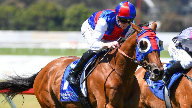 Aussie Nugget is ready to peak at Caulfield. Picture: AAP