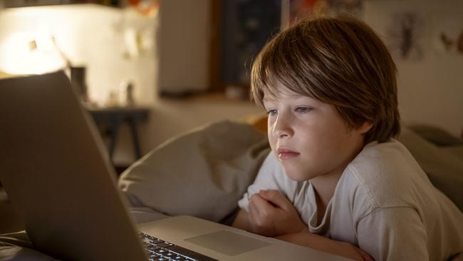 NSW Parliamentary inquiry into the ‘impacts of harmful pornography on mental, emotional, and physical health’ heard from school principals.