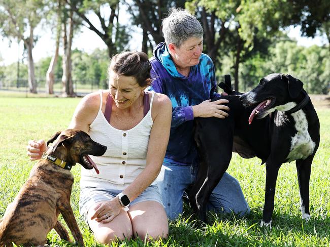 Remote Animal Assistance rescues stray and neglected dogs from Cape York, rehabilitates them and finds new homes across Far North Queensland. Remote Animal Assistance volunteers Azura van Vliet and Liz Ferris spend time playing with rescued dogs Sparky and Lucy at the Aeroglen dog park. Picture: Brendan Radke