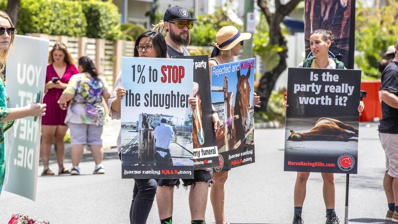 Nup To The Cup: Brisbane Animal Activists Protest Melbourne Cup 2020 ...