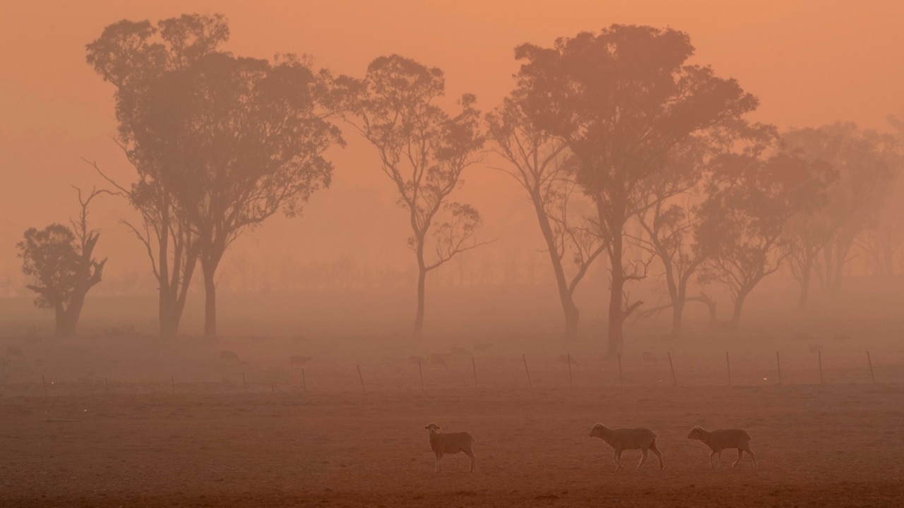 At least 12 homes destroyed in Queensland fires