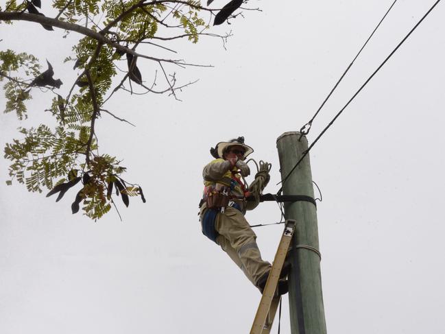 LOOK UP: Ergon Energy is urging harvester drivers and farmers to look up and live this cane season.