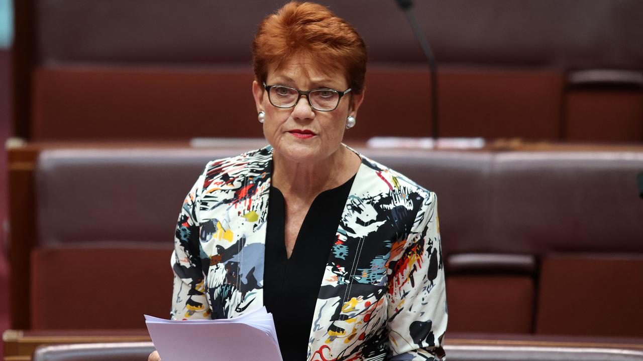 One Nation leader Pauline Hanson says domestic violence laws are being weaponised in family law disputes. Picture: NCA NewsWire/Gary Ramage