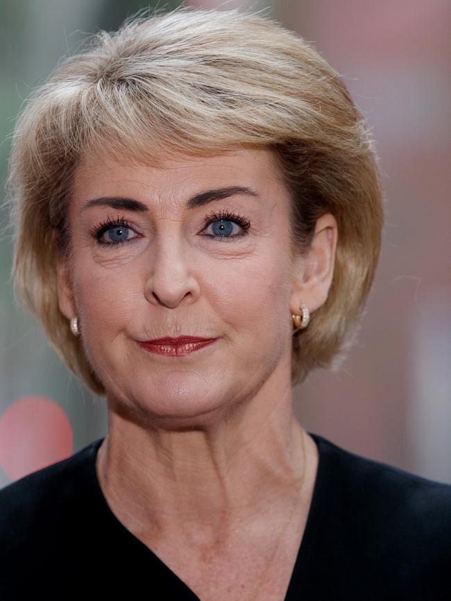 Senator Michaelia Cash unleashed on Mr Albanese. Picture: NewsWire / Nikki Short