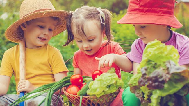 The new attractions featured in this year’s Easter Show, that runs from April 6- 19 at Sydney Showground, includes “Little Hands On The Land”, a kid-sized working farm aimed at teaching our children all about agriculture from the crop to the shop.