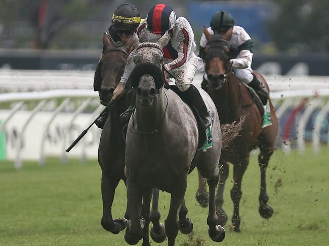 SYDNEY, AUSTRALIA - DECEMBER 07: Tyler Schiller riding Be Real wins Race 6 TAB during Sydney Racing at Rosehill Gardens on December 07, 2024 in Sydney, Australia. (Photo by Jeremy Ng/Getty Images)