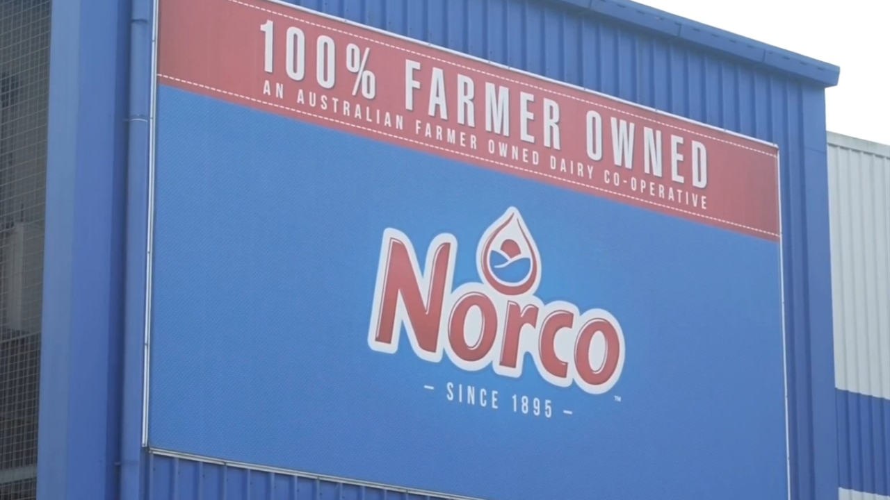 Norco ice cream factory in Lismore reopens after $100m rebuild