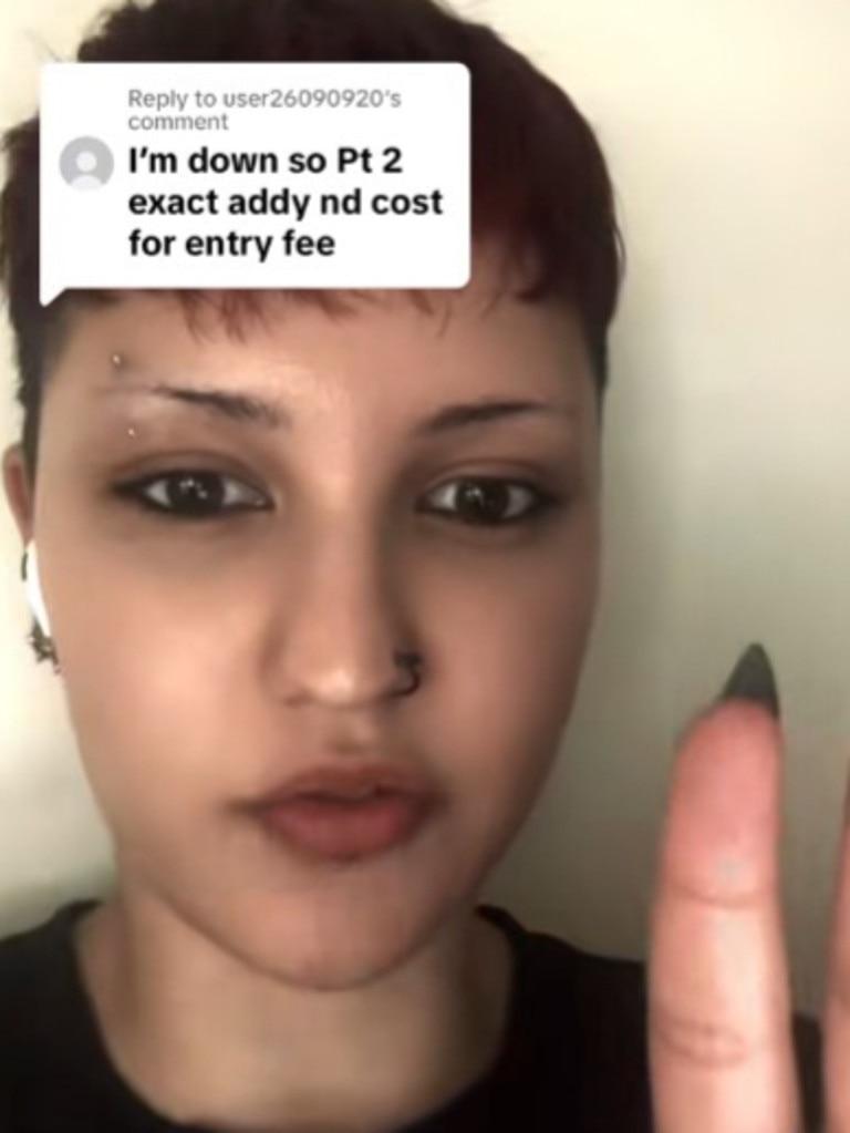 Ms Stevenson was allegedly assaulted. Picture: TikTok