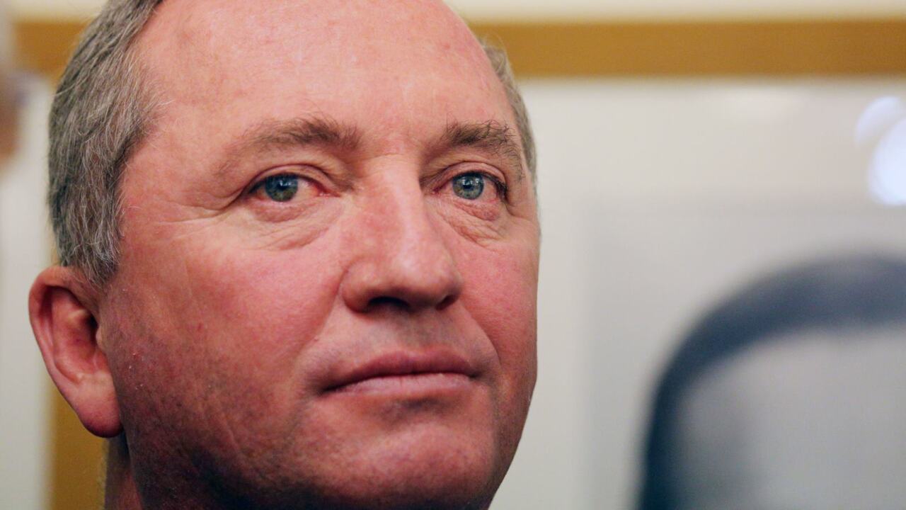 Barnaby Joyce urges Coalition colleagues to reconsider NEG