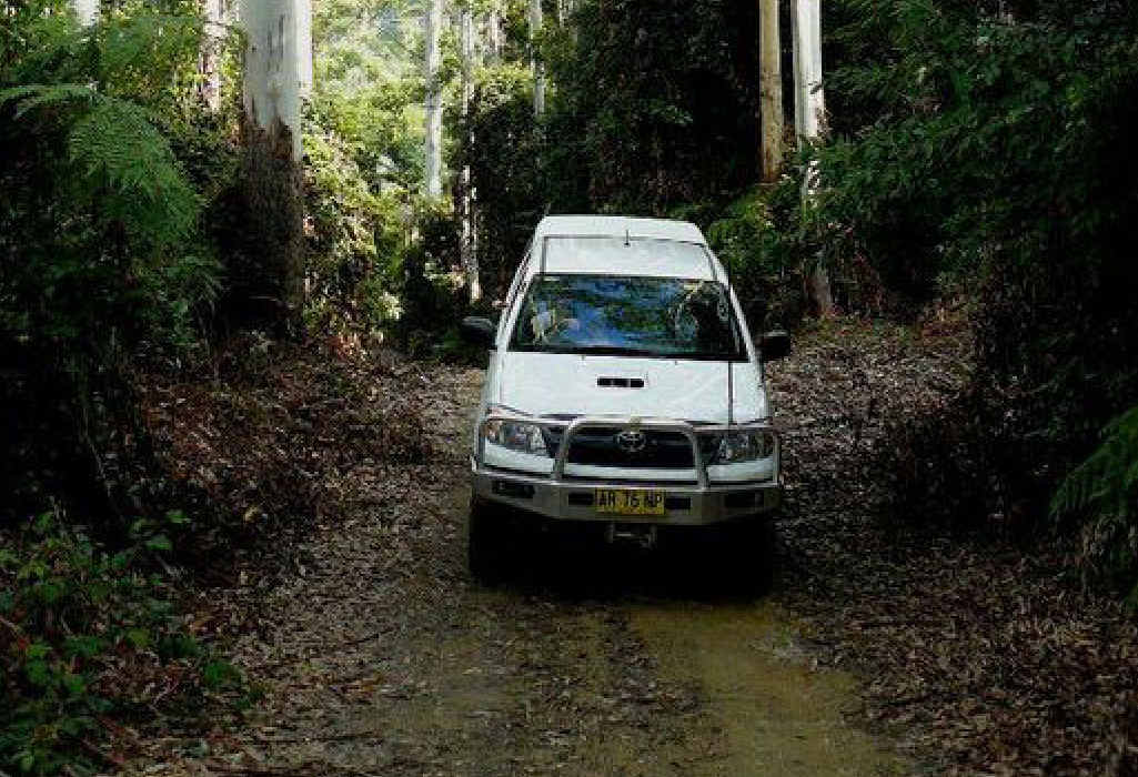 UNSPOILT BUSH: The Easter long weekend is an opportunity for a clean-up.