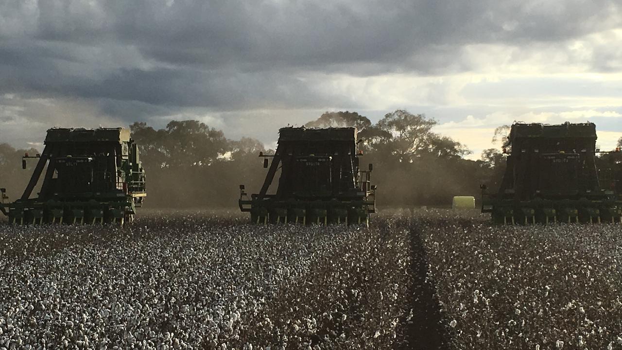 Wondaree Farms Part of Darlington Point, NSW, property sold to local