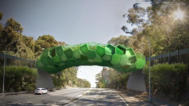 Artist impression of proposed Currumbin koala bridge that may be built as part of the Stage 4 extension of light rail.