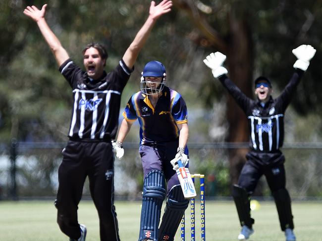 Will Walker raises two arms to appeal for a wicket on Saturday.