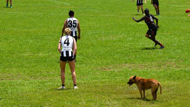 A camp dog made its way onto the field during the women’s match at Bathurst Island, NT, before the storm hit. Picture: Darcy Jennings