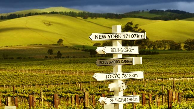 A signpost at Jacobs Creek. Picture: Supplied 