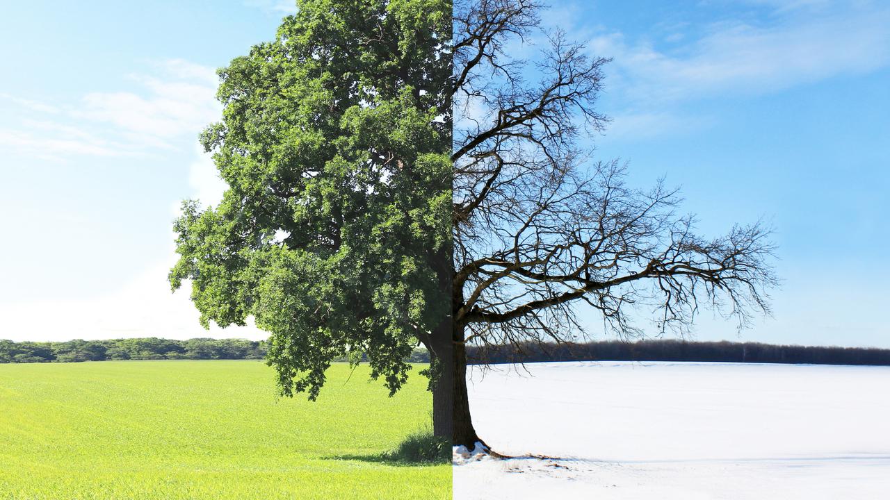 Spring is here, but the four established seasons in Australia make no