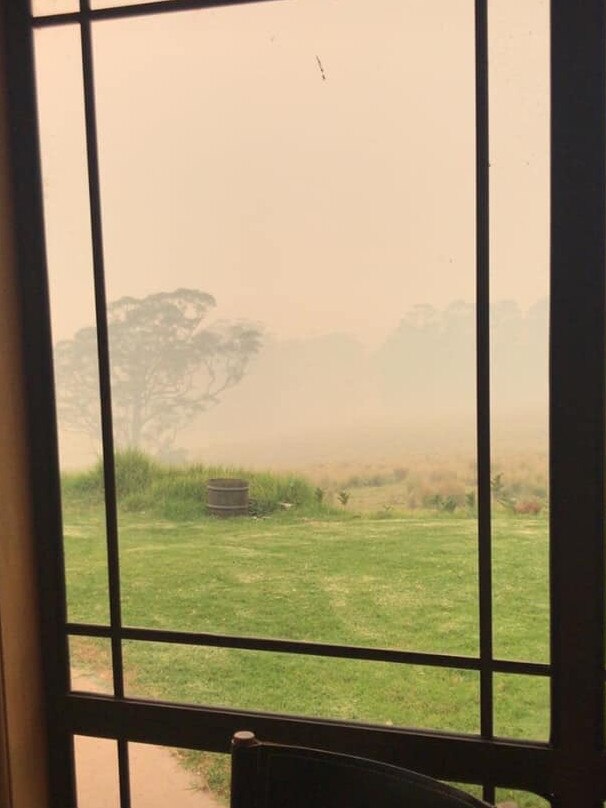 Vinson has been stuck on the South Coast due to the ongoing bushfire crisis.