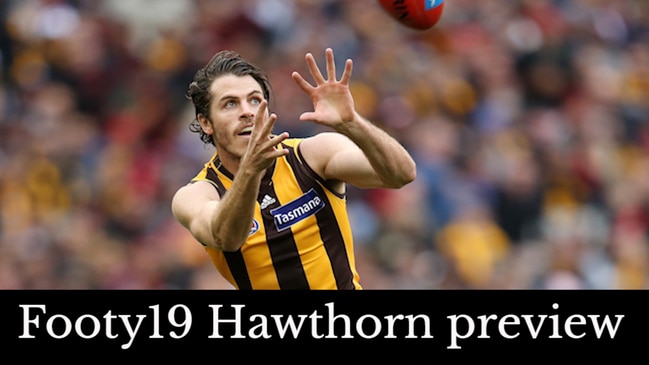 Footy19 Hawthorn preview