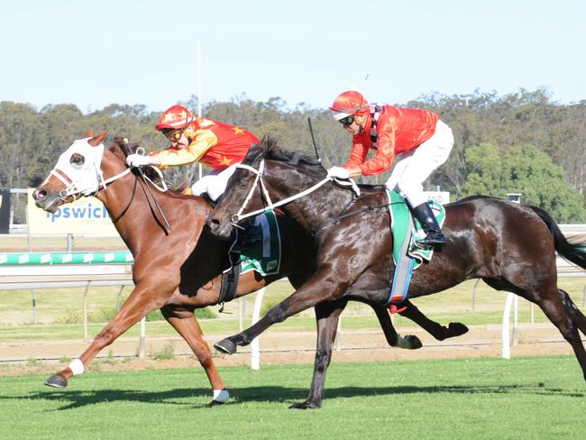 Race 5 Ipswich winner Writtle, ridden by Andrew Mallyon and trained by Lindsay Hatch. Picture: Claire Power